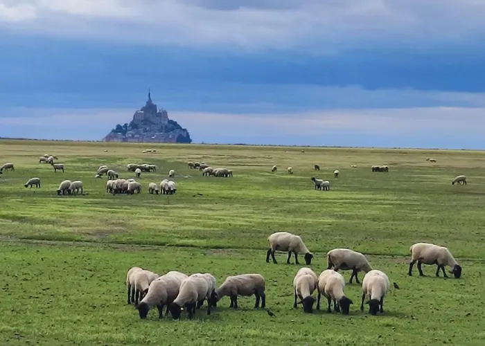 Bed & Breakfast Entre Terre Et Baie A 15 Mn Du Mont-saint-michel Pontaubault