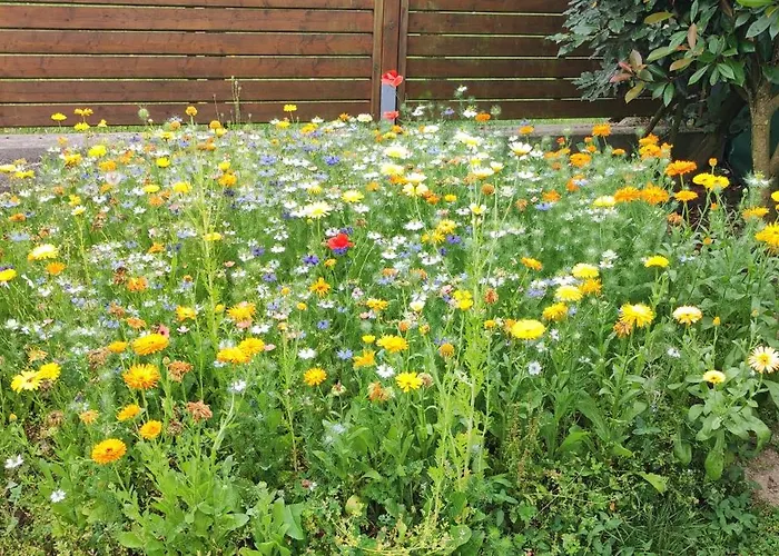 Entre Terre Et Baie à 15 Mn Du Mont-saint-michel 3* Pontaubault